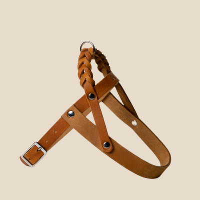 Szelki Cognac Silver Royal