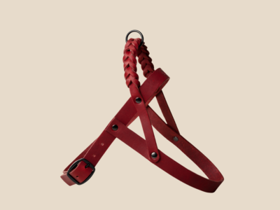Szelki Ruby Red Black Royal