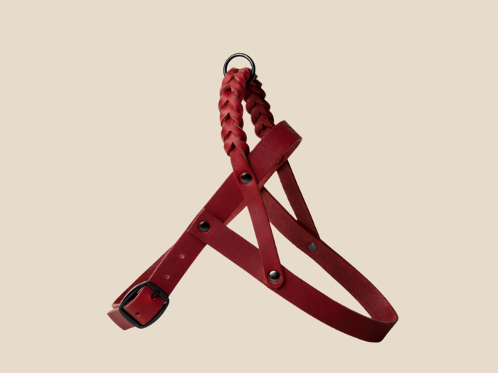 Szelki Ruby Red Black Royal