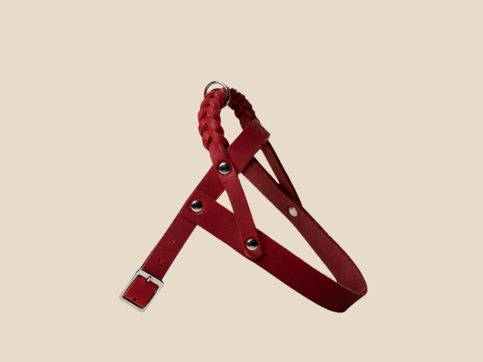 Szelki Ruby Red Silver Royal
