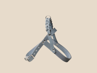 Szelki Ash Grey Silver Royal
