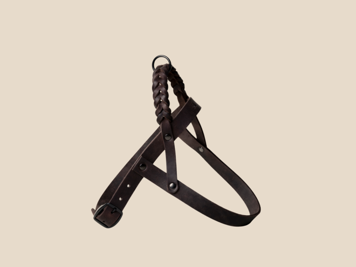 Szelki Mocha Black Royal