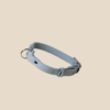 Obroża Ash Grey Silver Royal