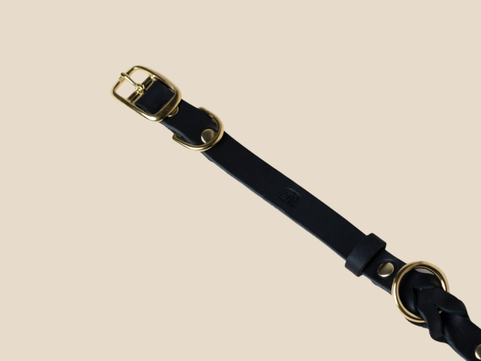 Obroża Classic Gold Royal